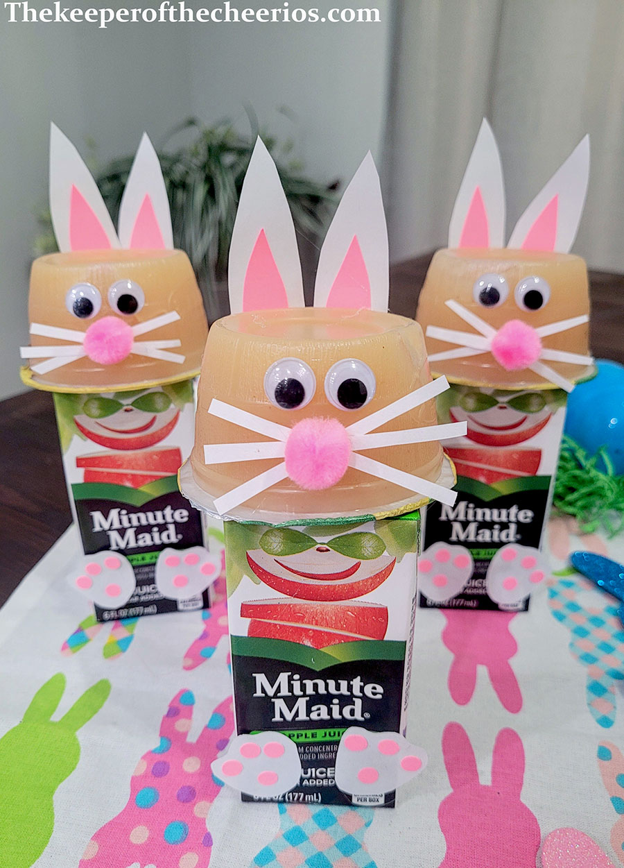 easter-juice-boxes-5