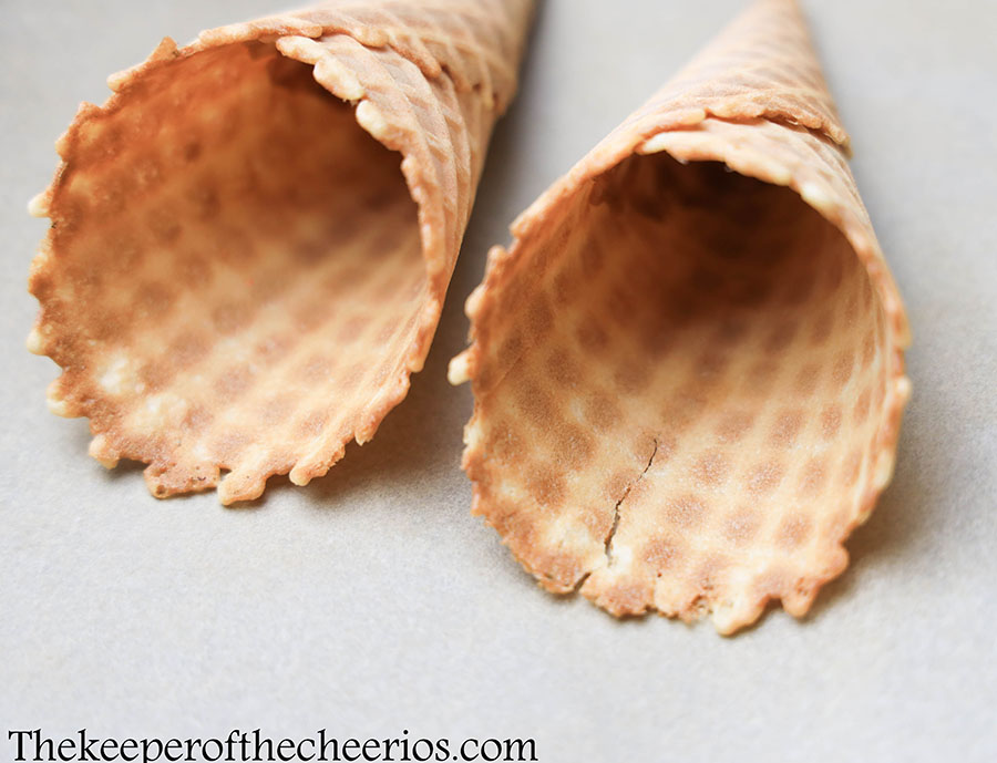 fall campfire cones 1