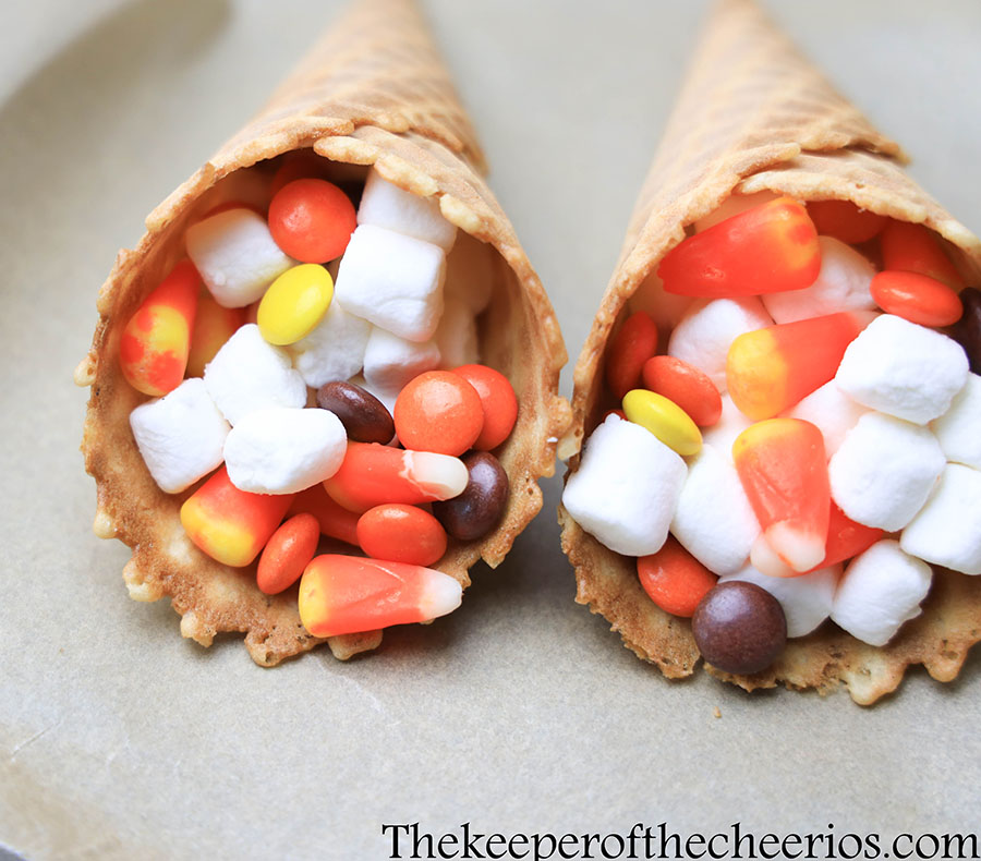 fall campfire cones 2