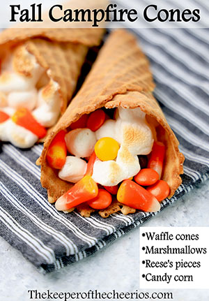 fall campfire cones smmm