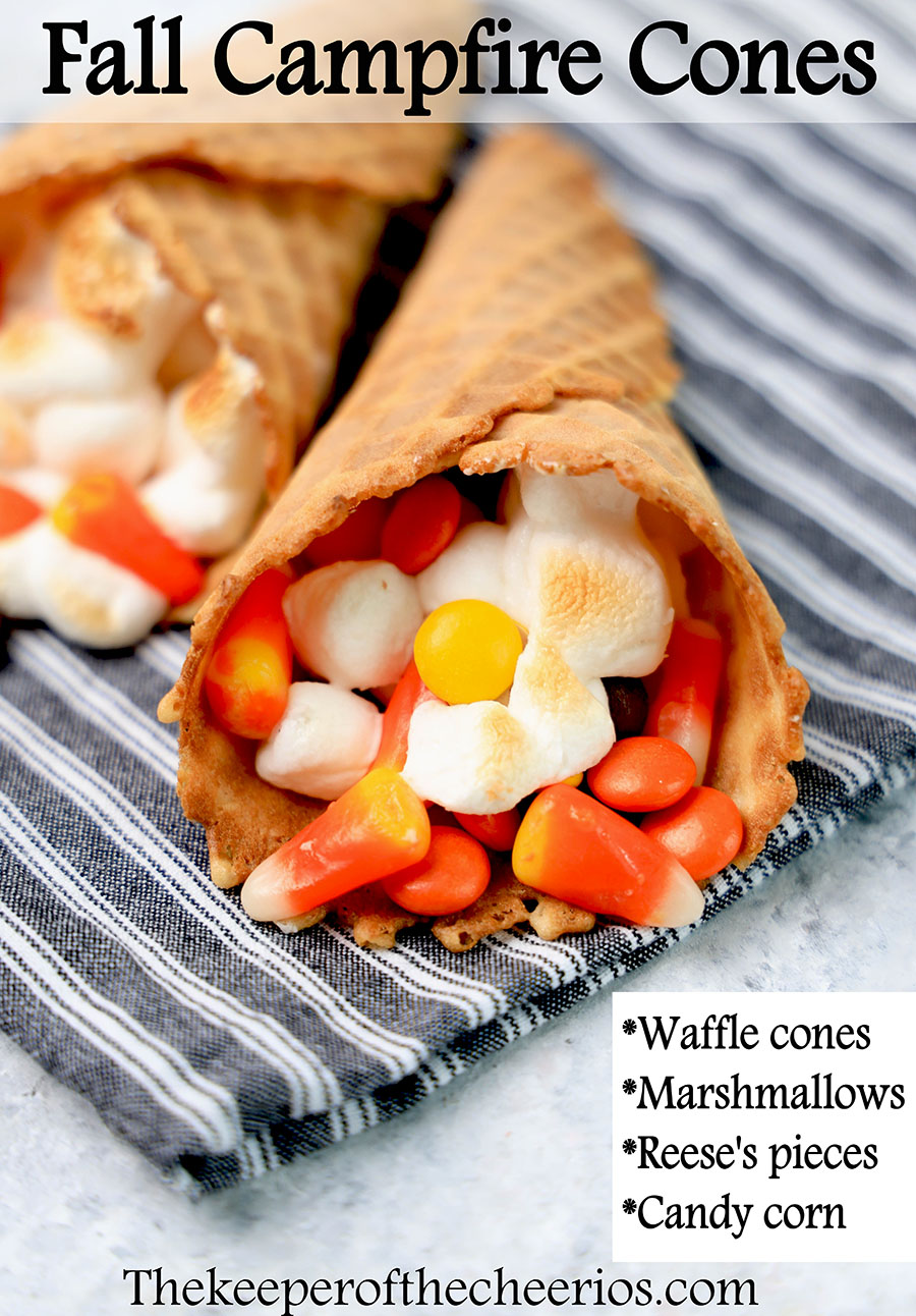 fall campfire cones sq